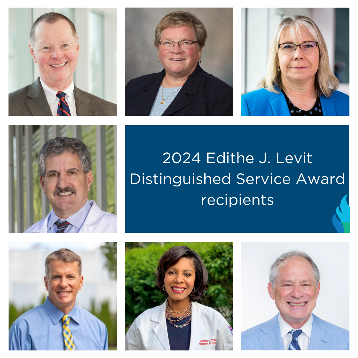 Collage of headshots of the Distinguished Service Award recipients.